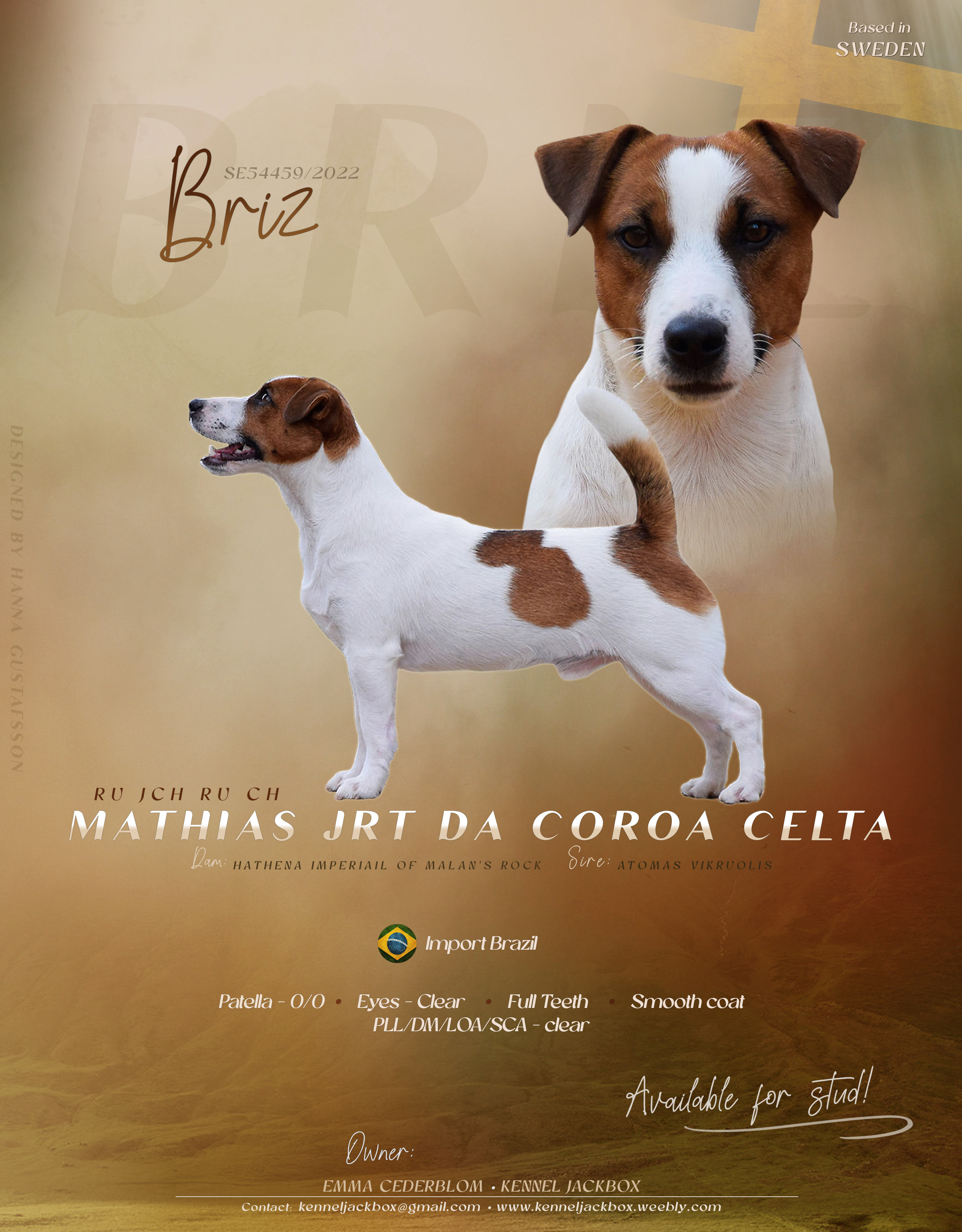 RU JCH RU CH Mathias JRT Da Coroa Celta